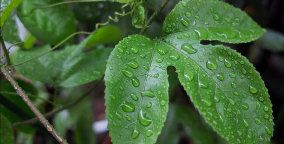 雨の日に外に出るなんて！