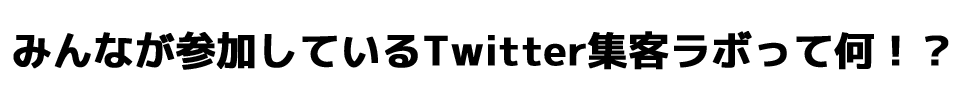 ツイッター集客戦略ラボ フォローブースターPRO、次世代型フォローマティックネクスト特典